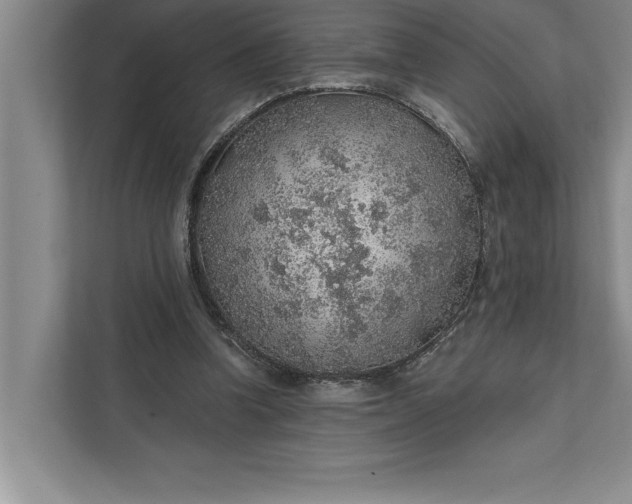 X0000112380346200908271324