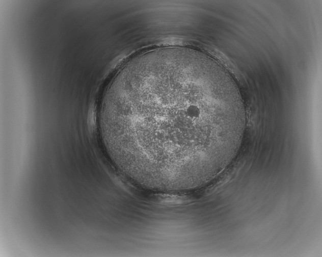 X0000112380347200908271324