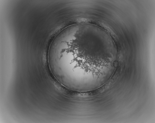 X0000112380353200908271324