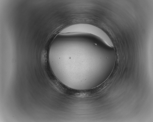 X0000112380356200908271324