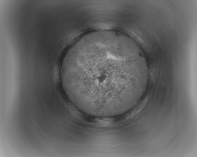 X0000112380359200908271324