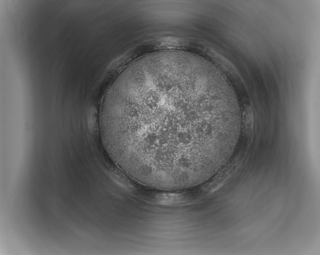 X0000112380361200908271324