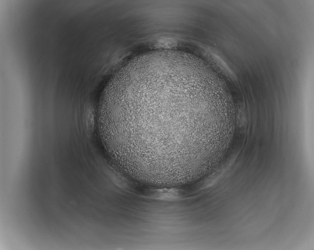 X0000112380363200908271324