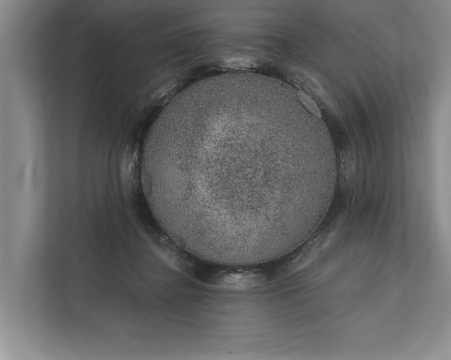 X0000112380364200908271324