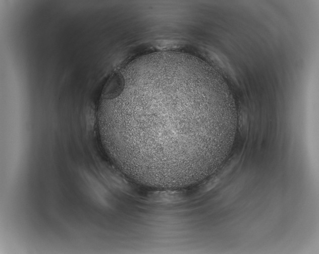 X0000112380367200908271324