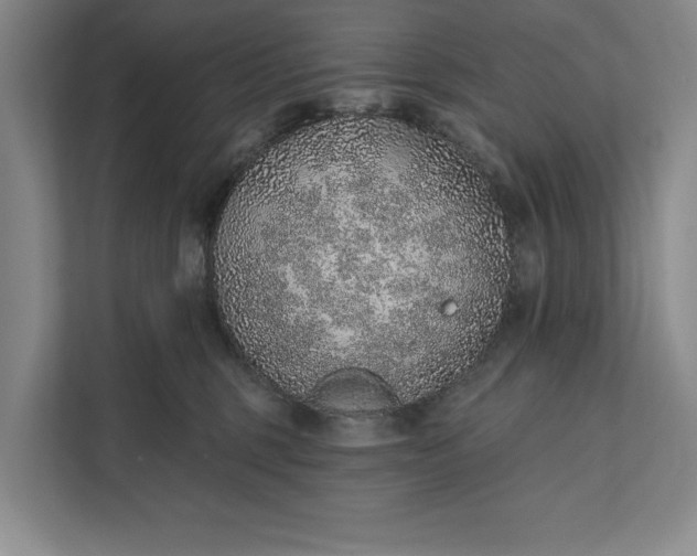 X0000112380375200908271324