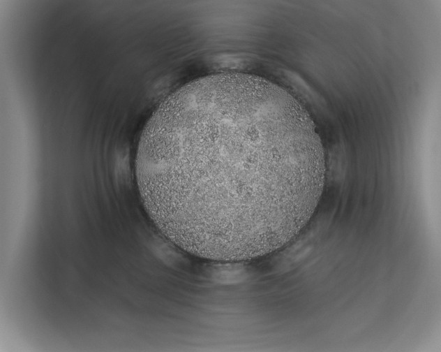 X0000112380377200908271324