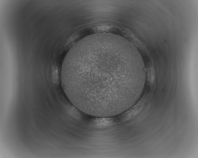 X0000112380378200908271324