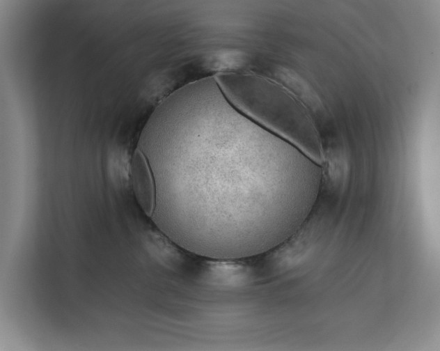 X0000112380380200908271324