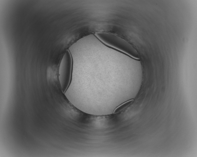 X0000112380384200908271325