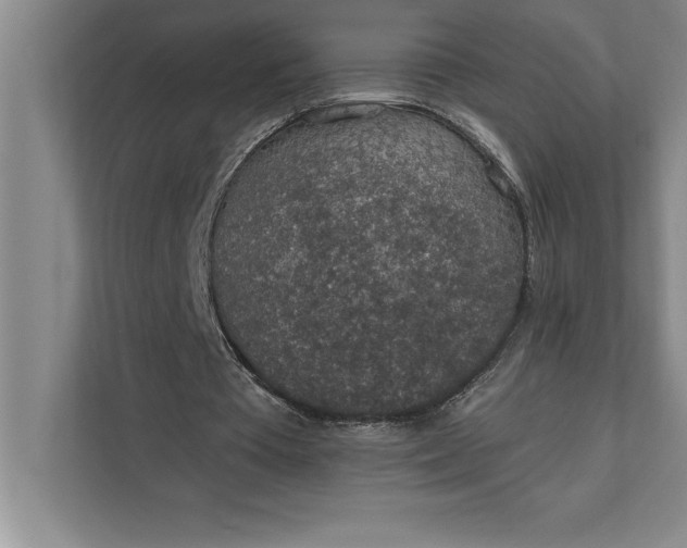 X0000112380385200908271324