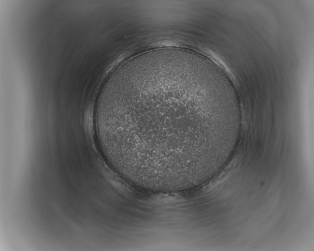 X0000112380386200908271324