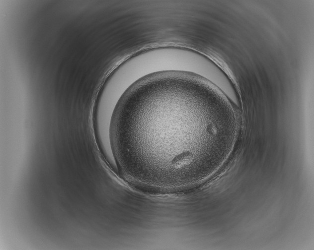 X0000112380389200908271324