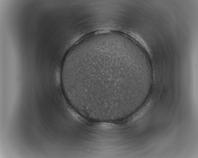 X0000112380393200908271324