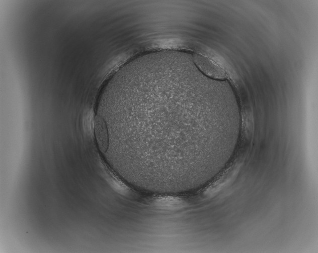 X0000112380397200908271324