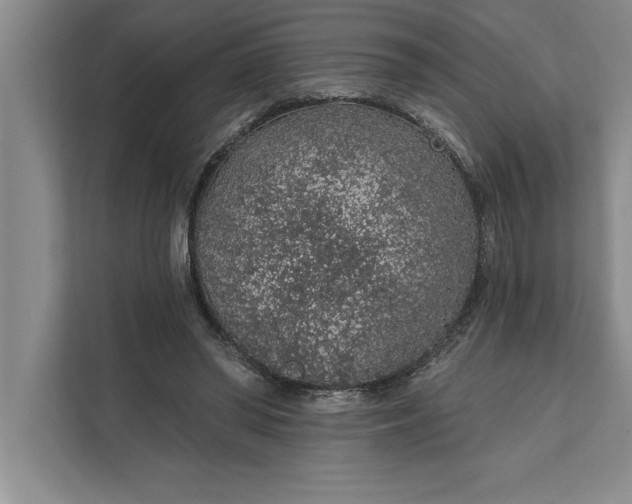 X0000112380398200908271324