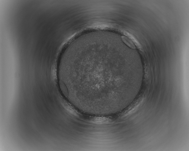 X0000112380399200908271324