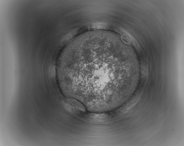 X0000112380401200908271324