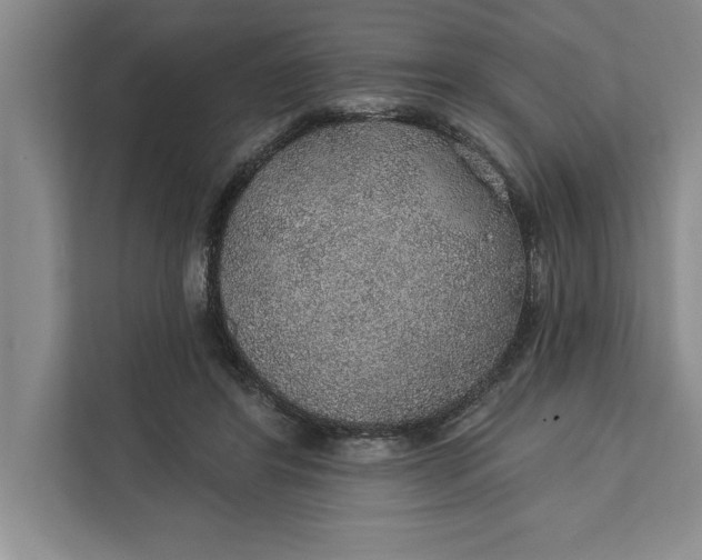 X0000112380404200908271324