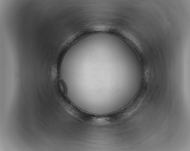 X0000112380407200908271324