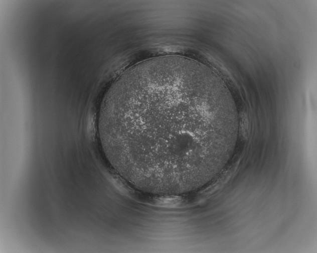 X0000112380410200908271324