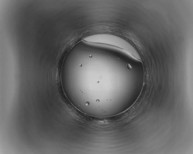 X0000112380411200908271324