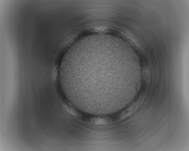 X0000112380412200908271324