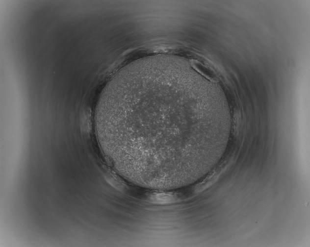 X0000112380413200908271324