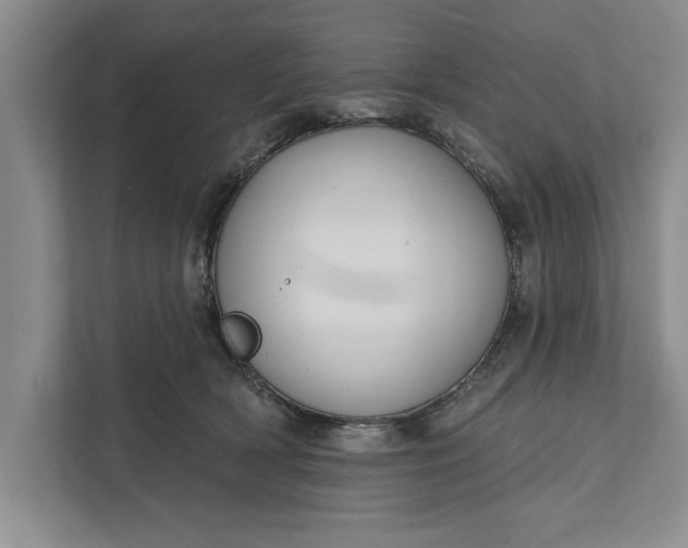 X0000112380418200908271323