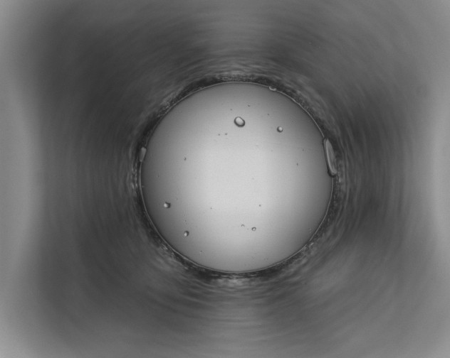 X0000112380419200908271323