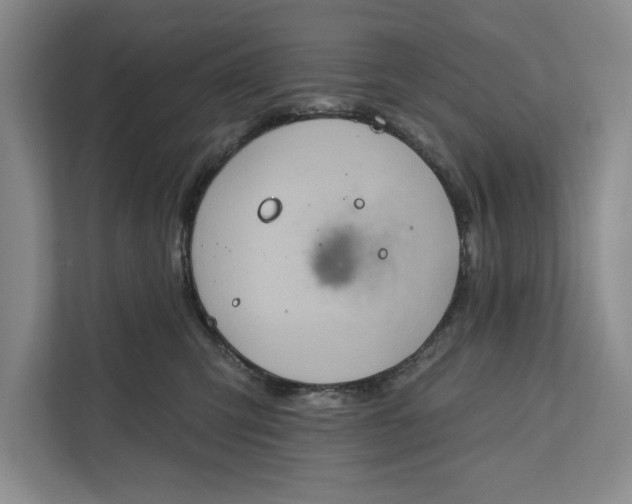 X0000112380423200908271323