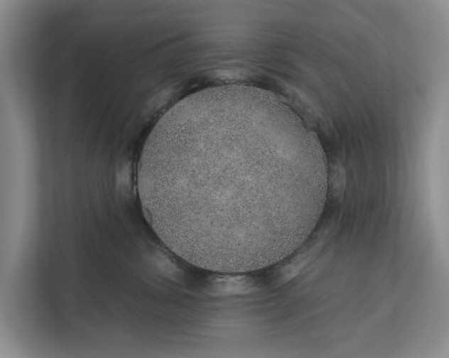 X0000112380428200908271323