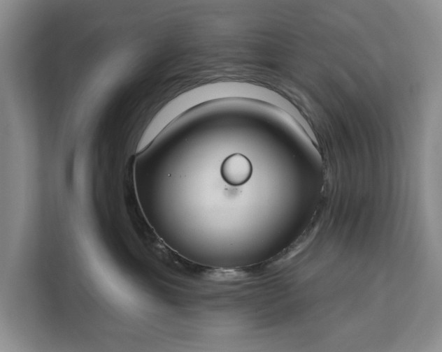 X0000112380429200908271323