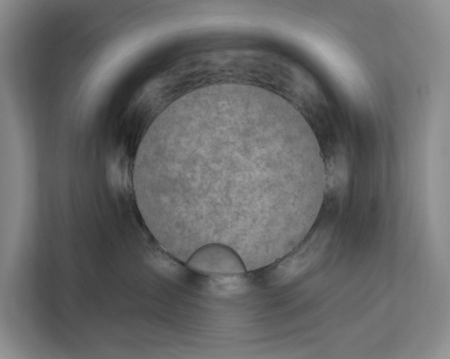 X0000112380431200908271323