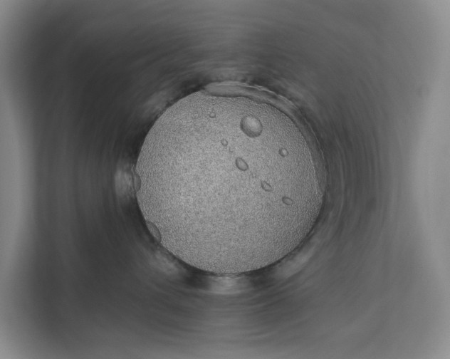 X0000112380432200908271323