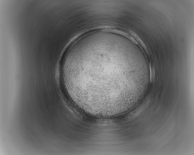 X0000112380435200908271323