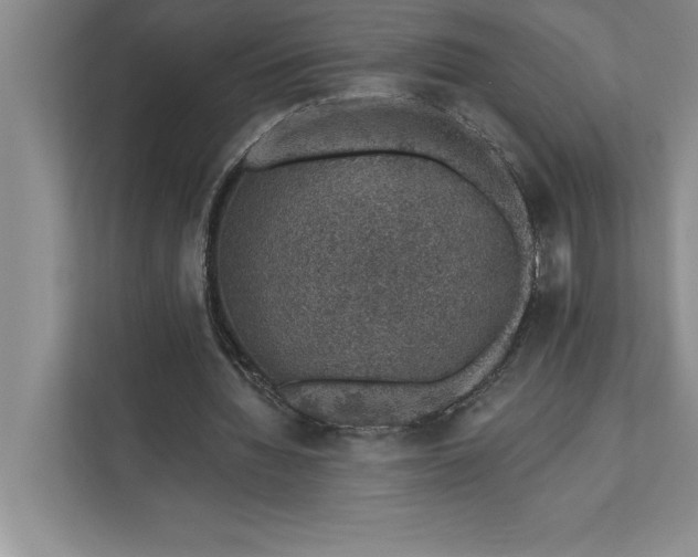 X0000112380436200908271323