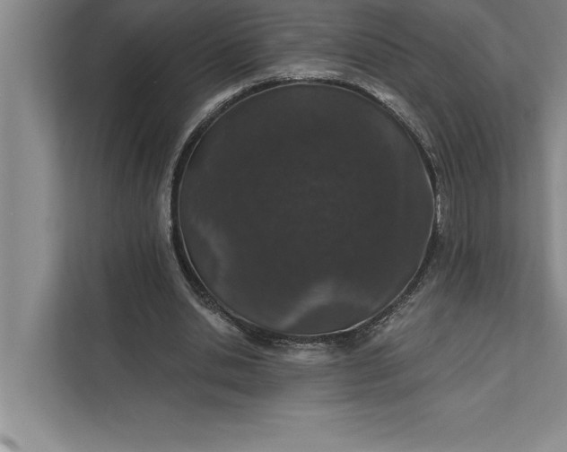 X0000112380438200908271323