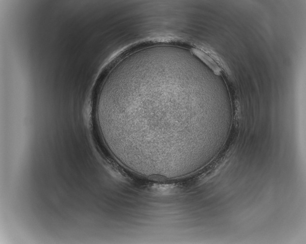 X0000112380440200908271323