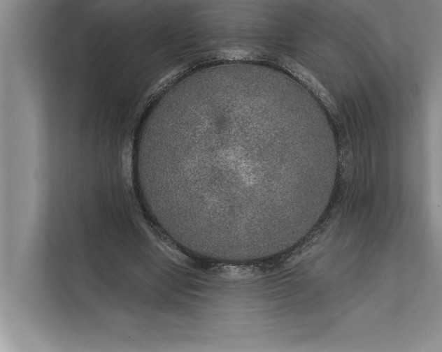 X0000112380442200908271323