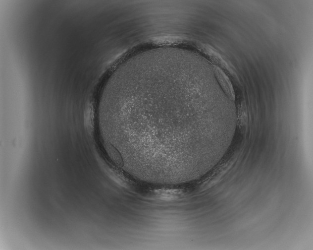 X0000112380448200908271323