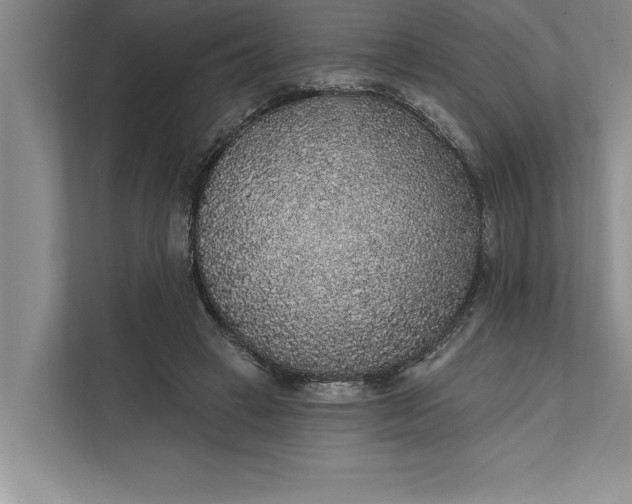 X0000112380449200908271323