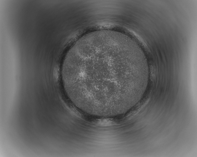 X0000112380451200908271323