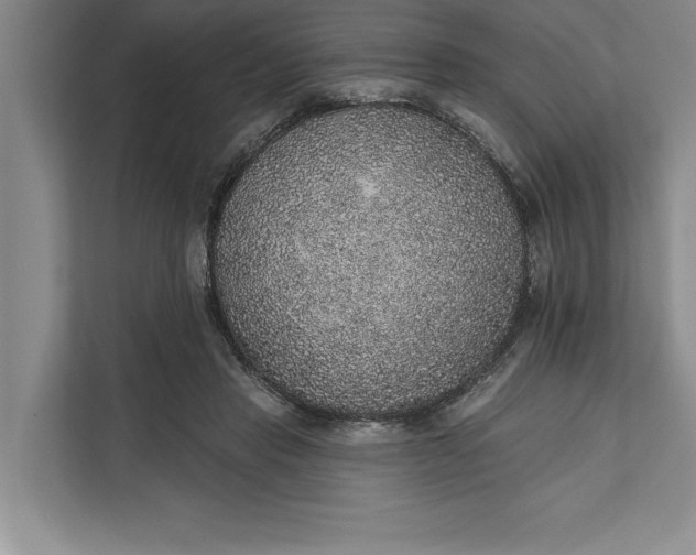 X0000112380453200908271323