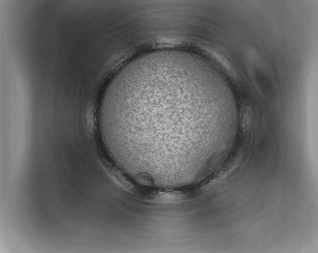 X0000112380455200908271323