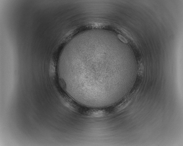 X0000112380456200908271323