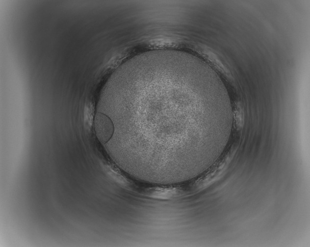 X0000112380458200908271323