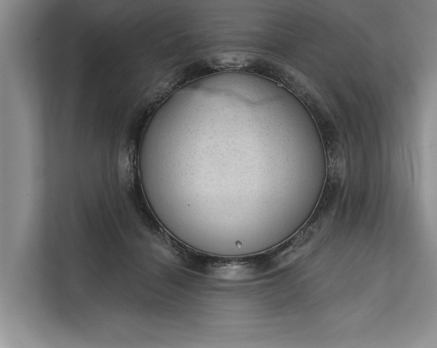 X0000112380460200908271323