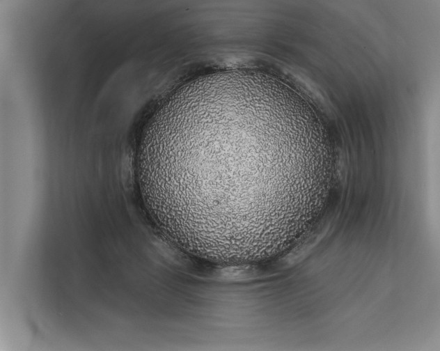 X0000112380461200908271323