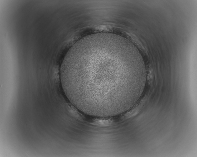 X0000112380466200908271323